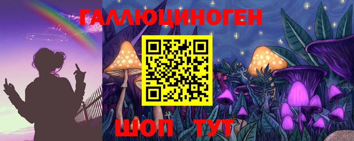 Галлюциногенные грибы MAGIC MUSHROOMS Сокол